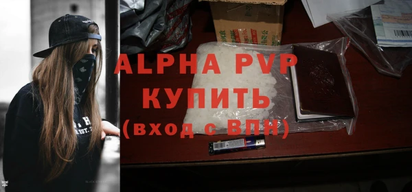 крисы Осинники