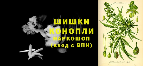 крисы Осинники