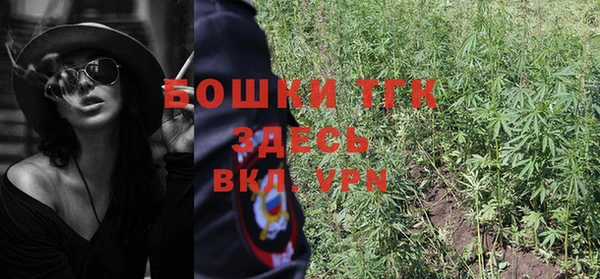 крисы Осинники