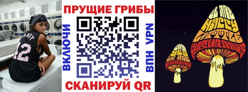 Псилоцибиновые грибы мицелий  Купить  Арзамас 